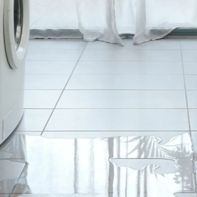 Appliance Leak Cleanup in Fort Lauderdale, FL